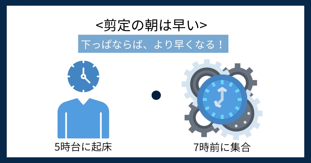 剪定の朝は早いの画像