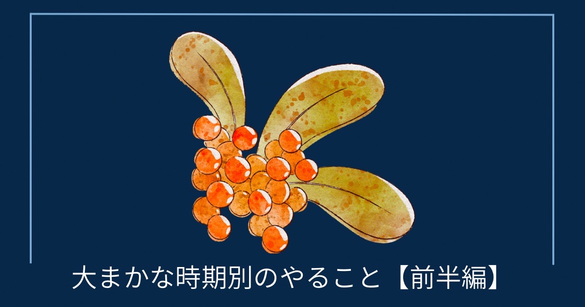 大まかな時期別のやること【前半編】の画像