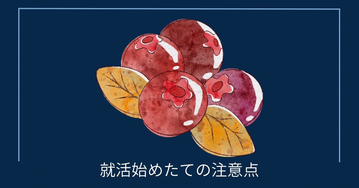 就活始めたての注意点の画像